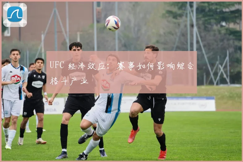 UFC 经济效应:赛事如何影响综合格斗产业
