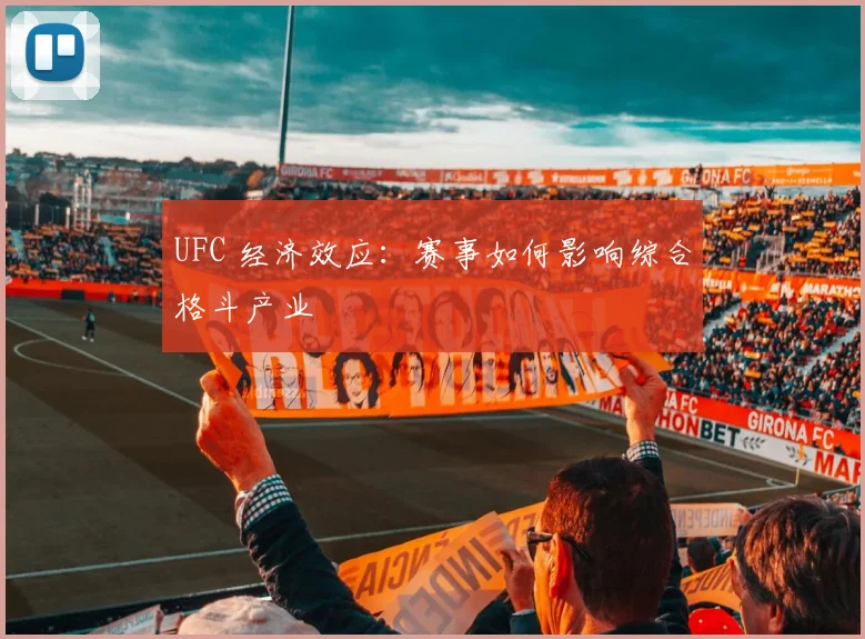 UFC 经济效应:赛事如何影响综合格斗产业